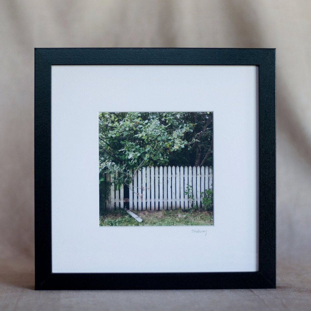"Apple Harvest #2" Framed Photography Print
